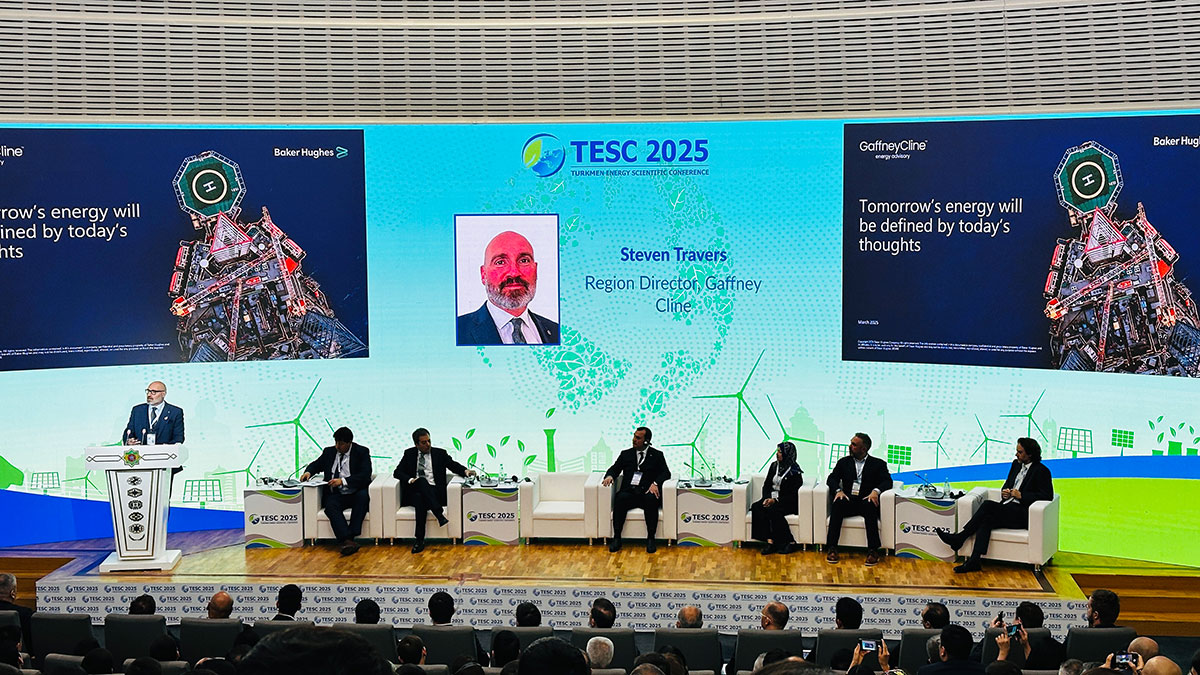 Expert Comments on TESC 2025 in Ashgabat